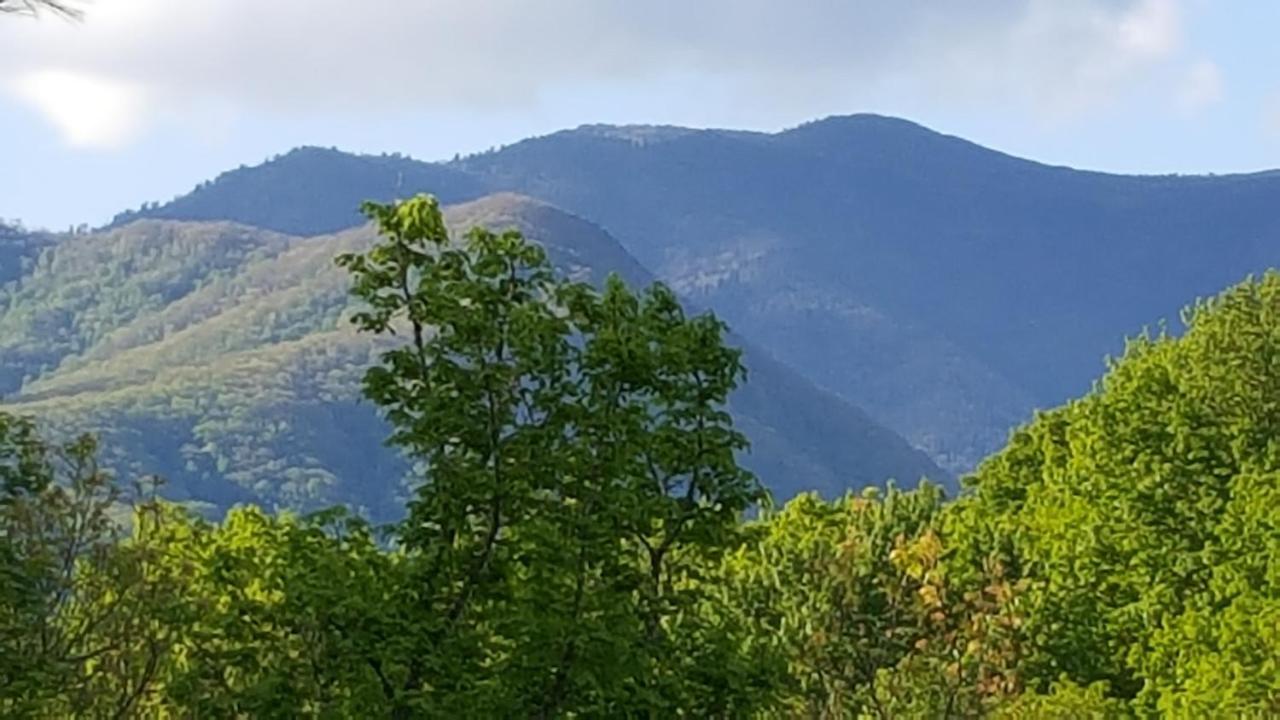 Mountain Serenity Gatlinburg Exterior photo